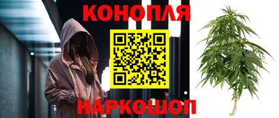 мяу мяу мука Краснодар